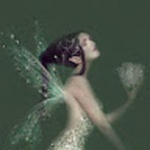 Meet your Posher, Miz